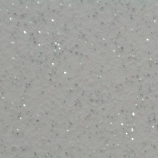 [8810-90-15] 15INX50YD SILVER GREY - 090 ORACAL 8810 FROSTED GLASS CAST